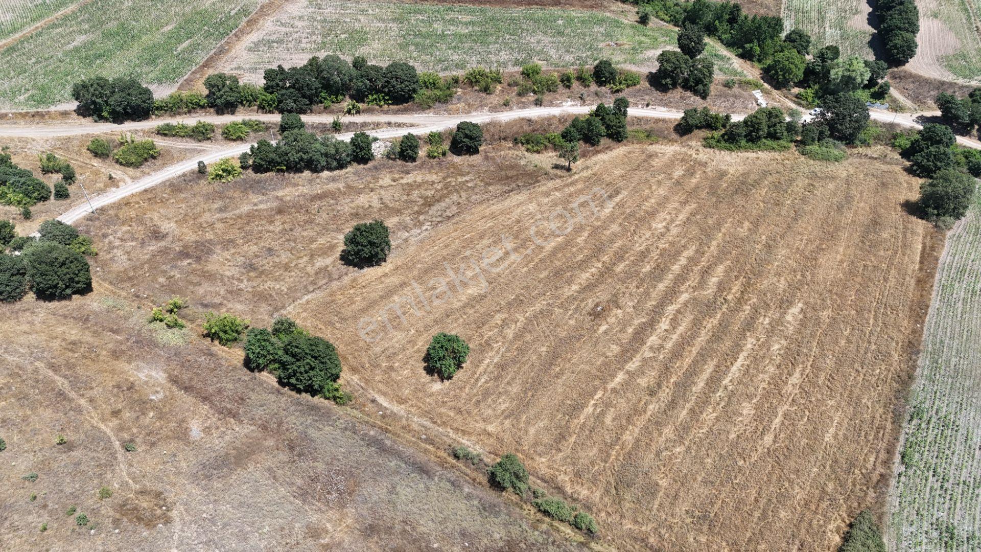 Rookzbalşehir'den Çanacık Mah. Satılık 17.629 M2 Tarla - Görsel 22