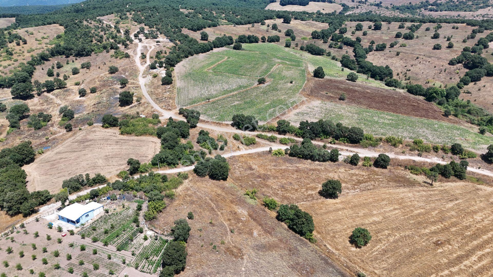Rookzbalşehir'den Çanacık Mah. Satılık 17.629 M2 Tarla - Görsel 24