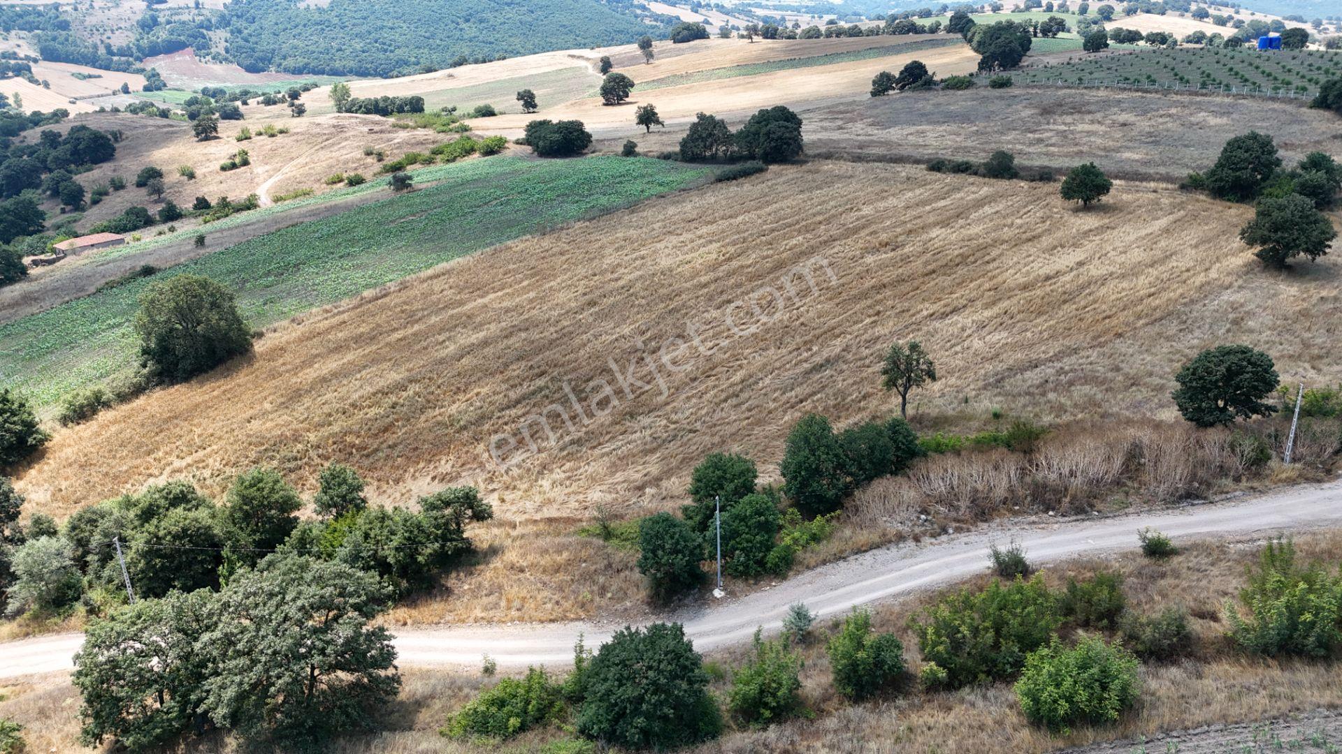 Rookzbalşehir'den Çanacık Mah. Satılık 17.629 M2 Tarla - Görsel 27