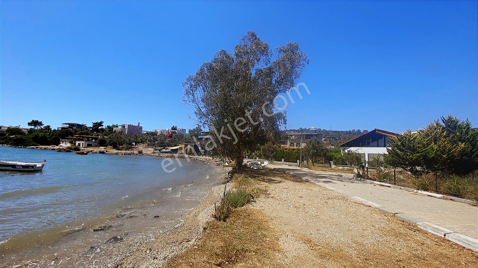 Milas Kıyıkışlacık'ta Satılık Denize 150 Metre 3+1 4+1 Villa - Görsel 16