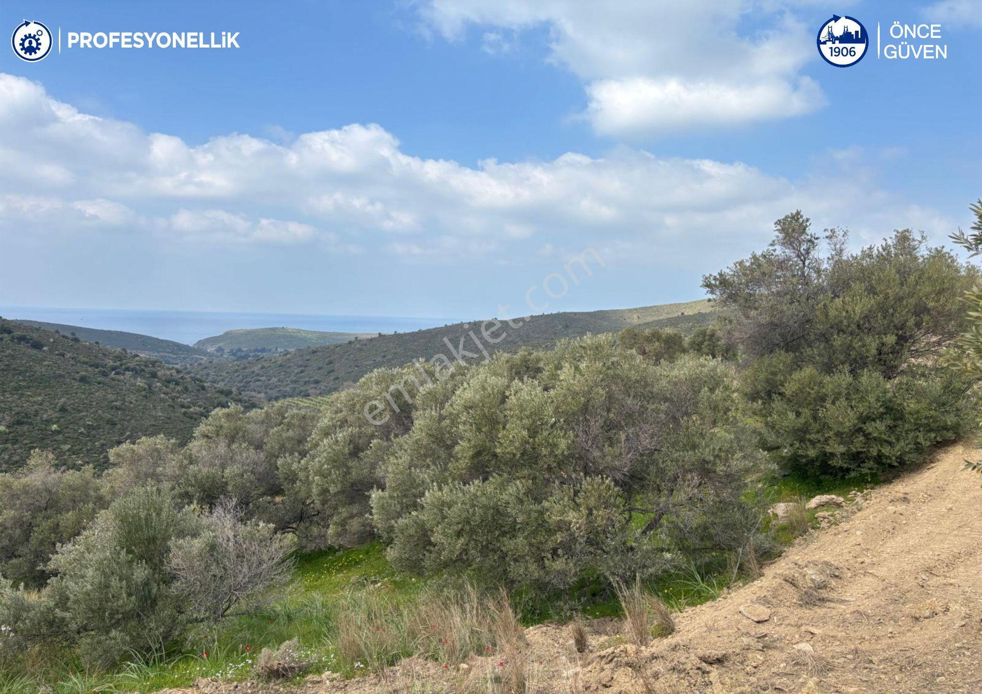Karaburun Salman'da 9.482 M² Yatırımlık Satılık Tarla - Görsel 5