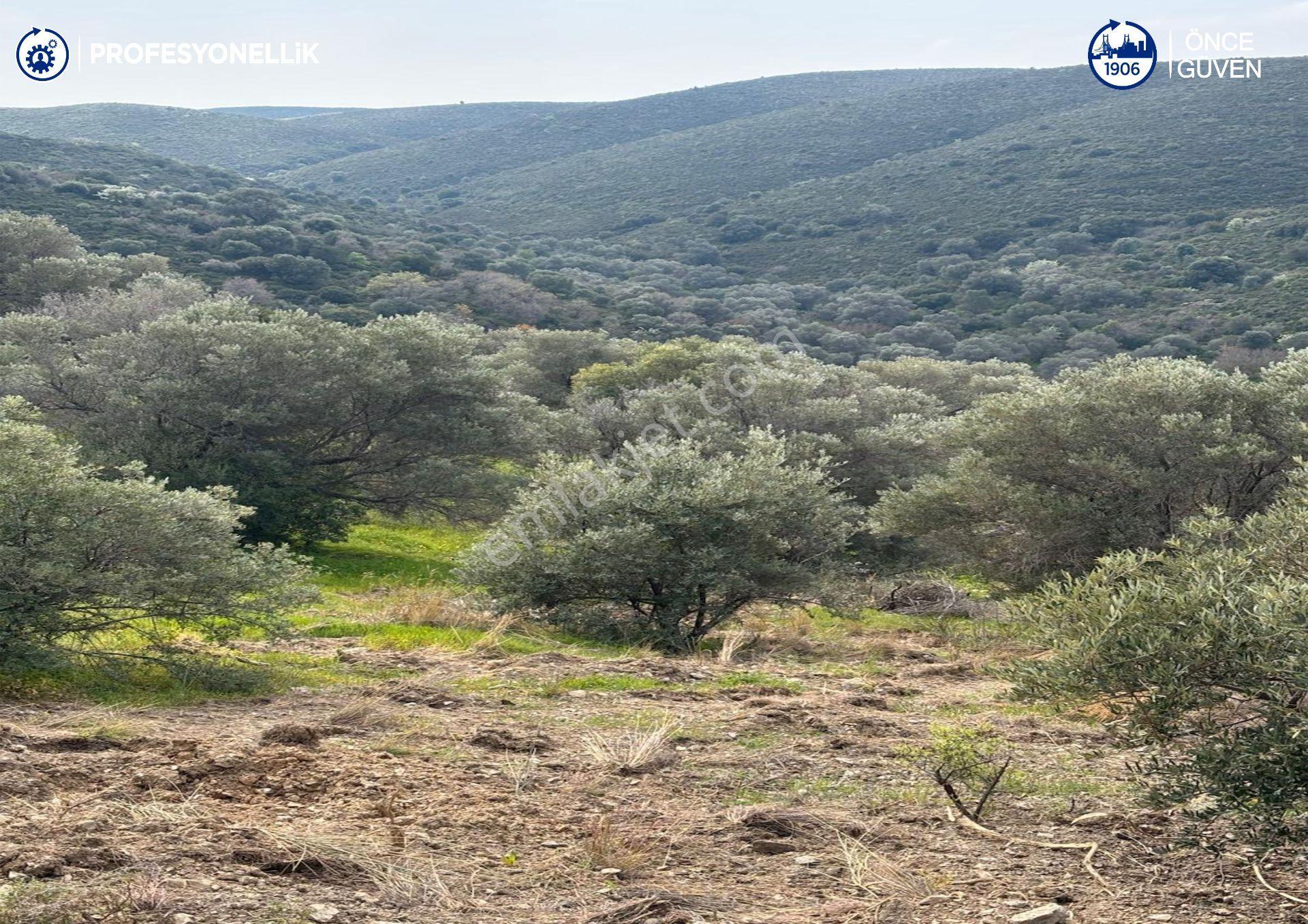 Karaburun Salman'da 9.482 M² Yatırımlık Satılık Tarla - Görsel 8