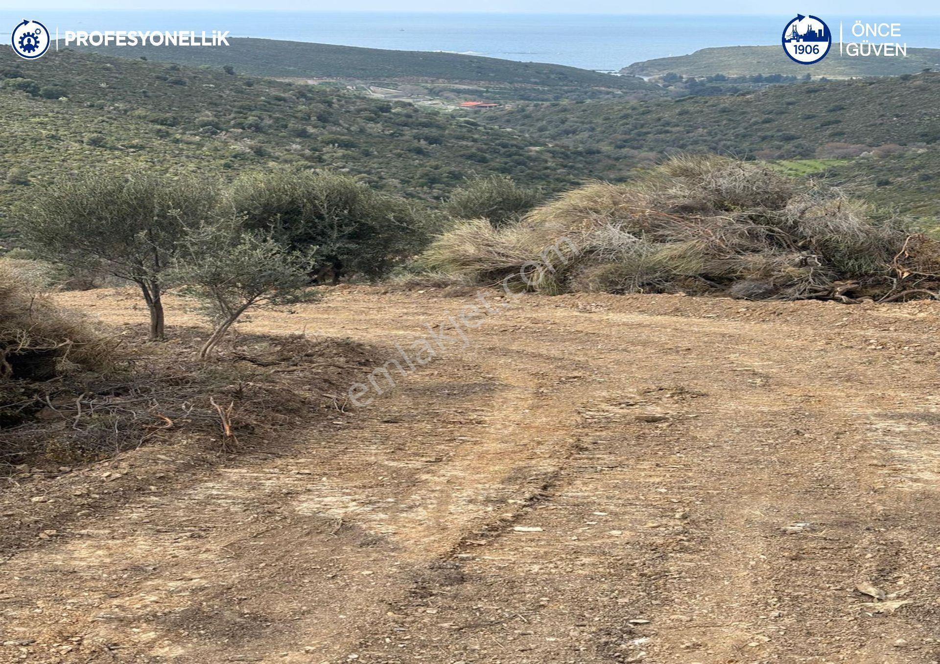 Karaburun Salman'da 9.482 M² Yatırımlık Satılık Tarla - Görsel 12