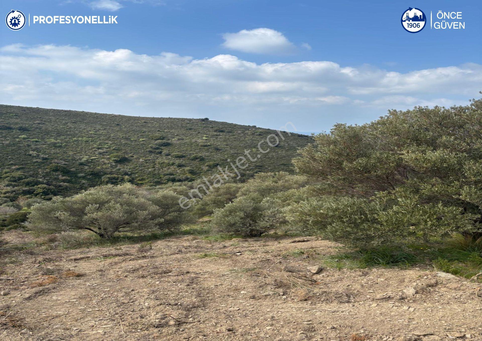 Karaburun Salman'da 9.482 M² Yatırımlık Satılık Tarla - Görsel 2