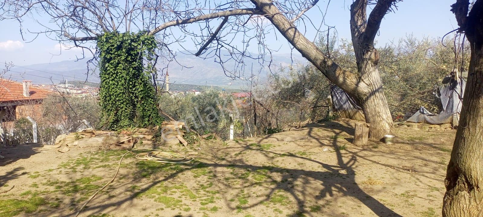 Egelimden Bozdoğan Cumhuriyet Mh.2 Katlı 5+1 714 M2 Müstakil Satılık Arsalı Ev - Görsel 26
