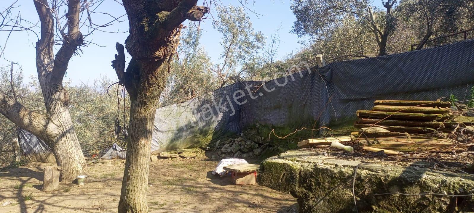 Egelimden Bozdoğan Cumhuriyet Mh.2 Katlı 5+1 714 M2 Müstakil Satılık Arsalı Ev - Görsel 27