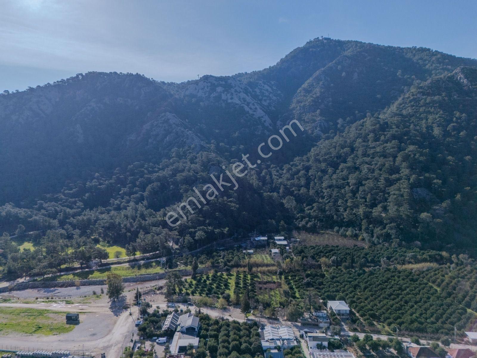 Konyaaltı Sarısuda İmar Sınırında 6.350 M² Değerli Parsel - Görsel 7