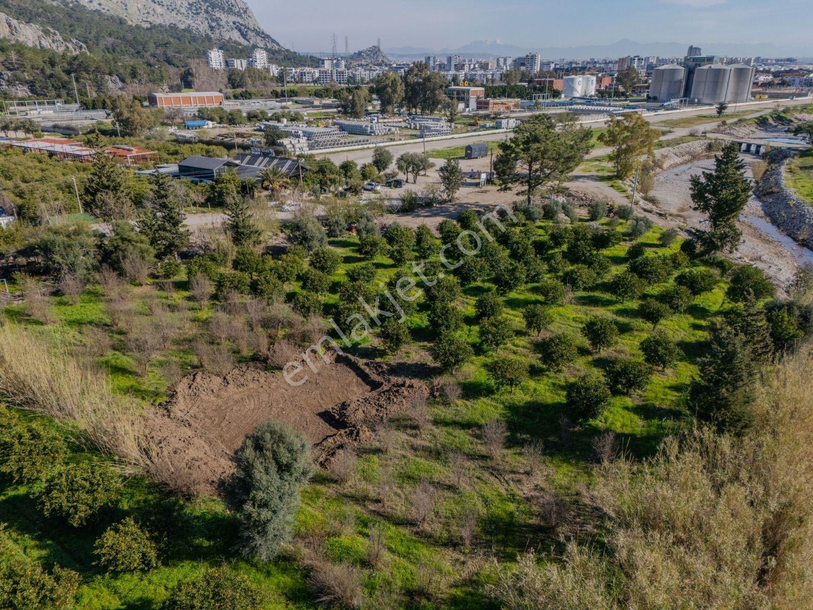 Konyaaltı Sarısuda İmar Sınırında 6.350 M² Değerli Parsel - Görsel 17