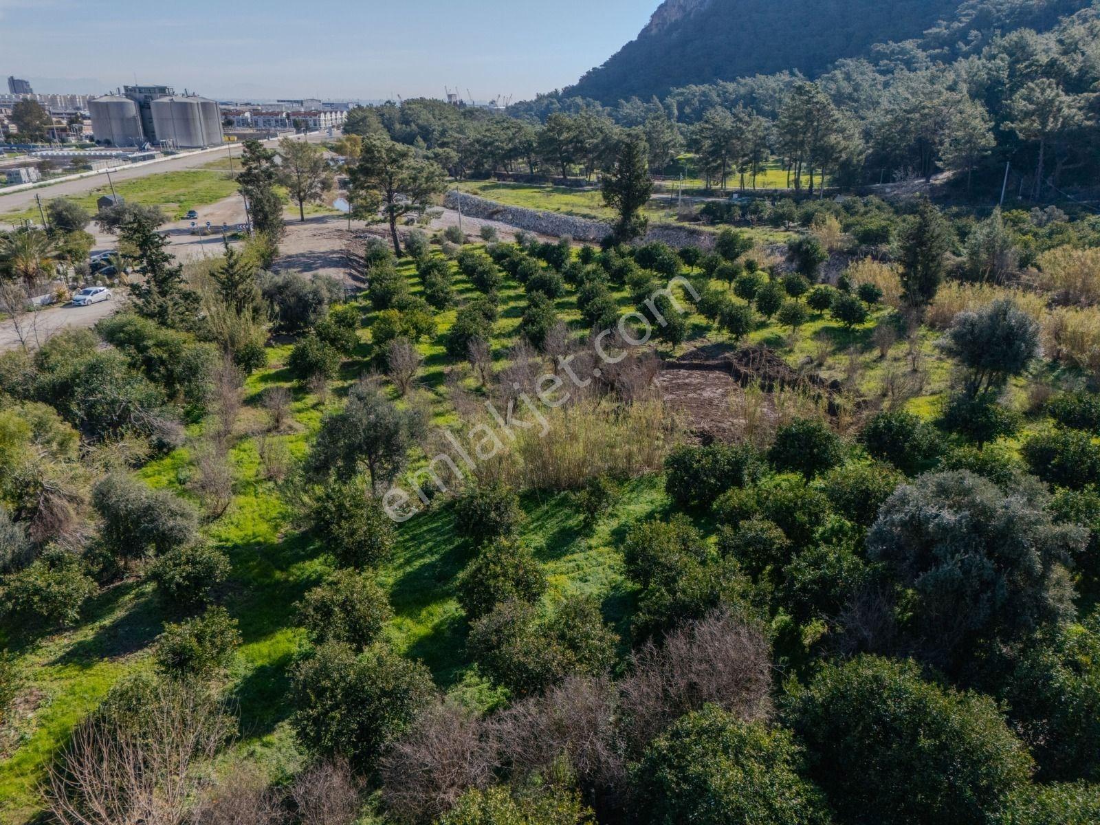 Konyaaltı Sarısuda İmar Sınırında 6.350 M² Değerli Parsel - Görsel 16