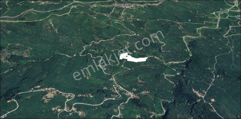 Kocaali 36500 M2 Fındık Bahçesi Kacmaz Fırsat - Görsel 2
