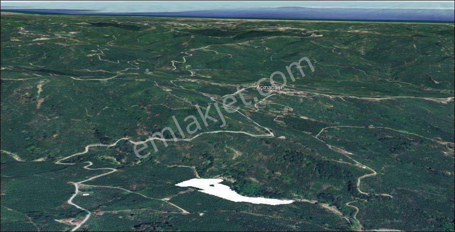 Kocaali 36500 M2 Fındık Bahçesi Kacmaz Fırsat