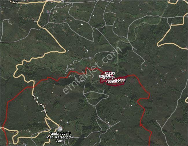Kocaali 36500 M2 Fındık Bahçesi Kacmaz Fırsat - Görsel 4