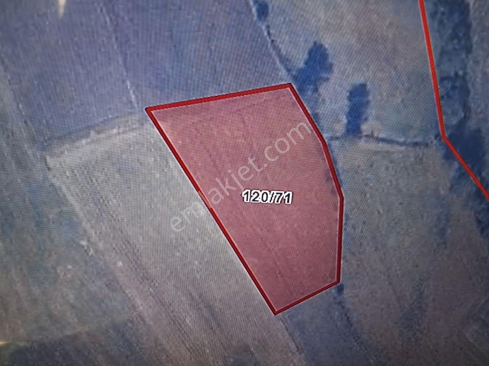 Kandıra'nın Kalbinde, Dümdüz Zeminli, Yatırımlık Muhteşem Arazi - Görsel 3