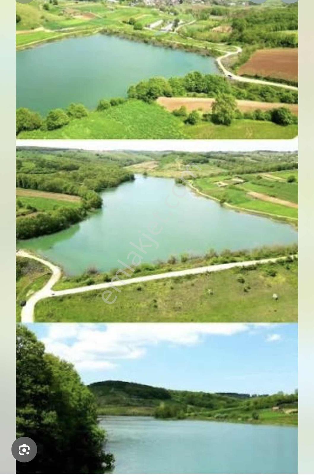 Sakarya Adapazarı Salmanlı Mahallesinde Köye Yakın - Görsel 7