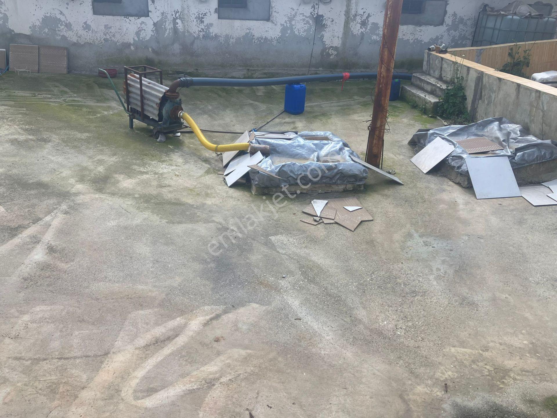 Çerçi Emlak'tan Özbek Köyünde 75 Binlik Tavuk Çiftliği Ve Mandalina Bahçesi - Görsel 34