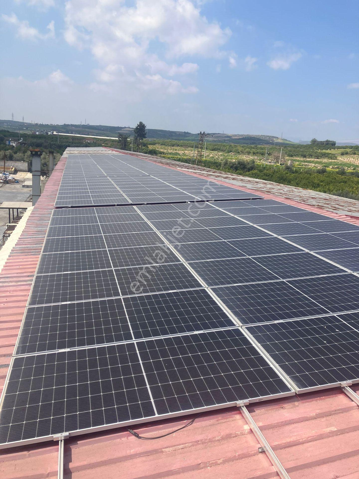 Çerçi Emlak'tan Özbek Köyünde 75 Binlik Tavuk Çiftliği Ve Mandalina Bahçesi - Görsel 22