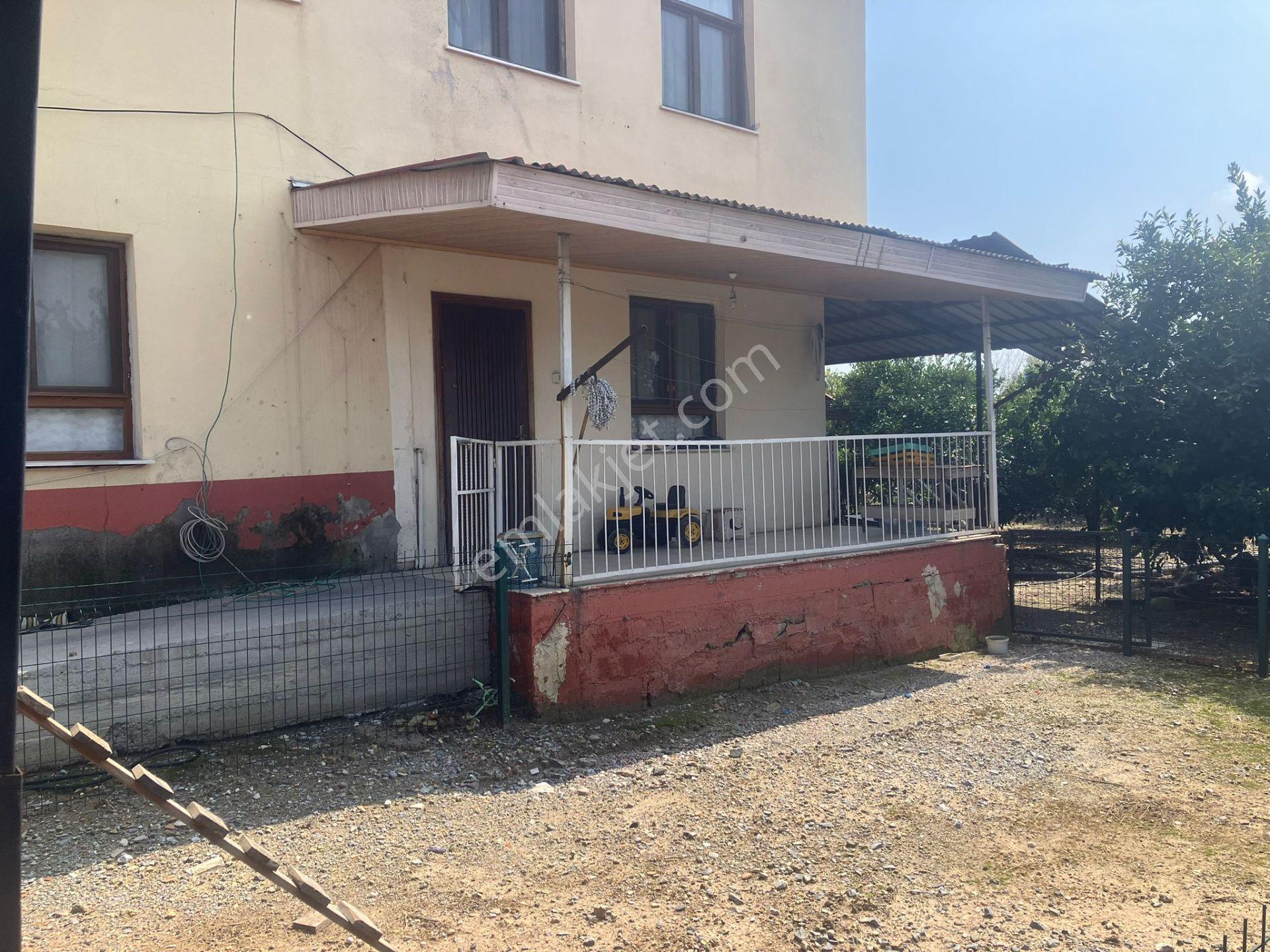 Çerçi Emlak'tan Özbek Köyünde 75 Binlik Tavuk Çiftliği Ve Mandalina Bahçesi - Görsel 28