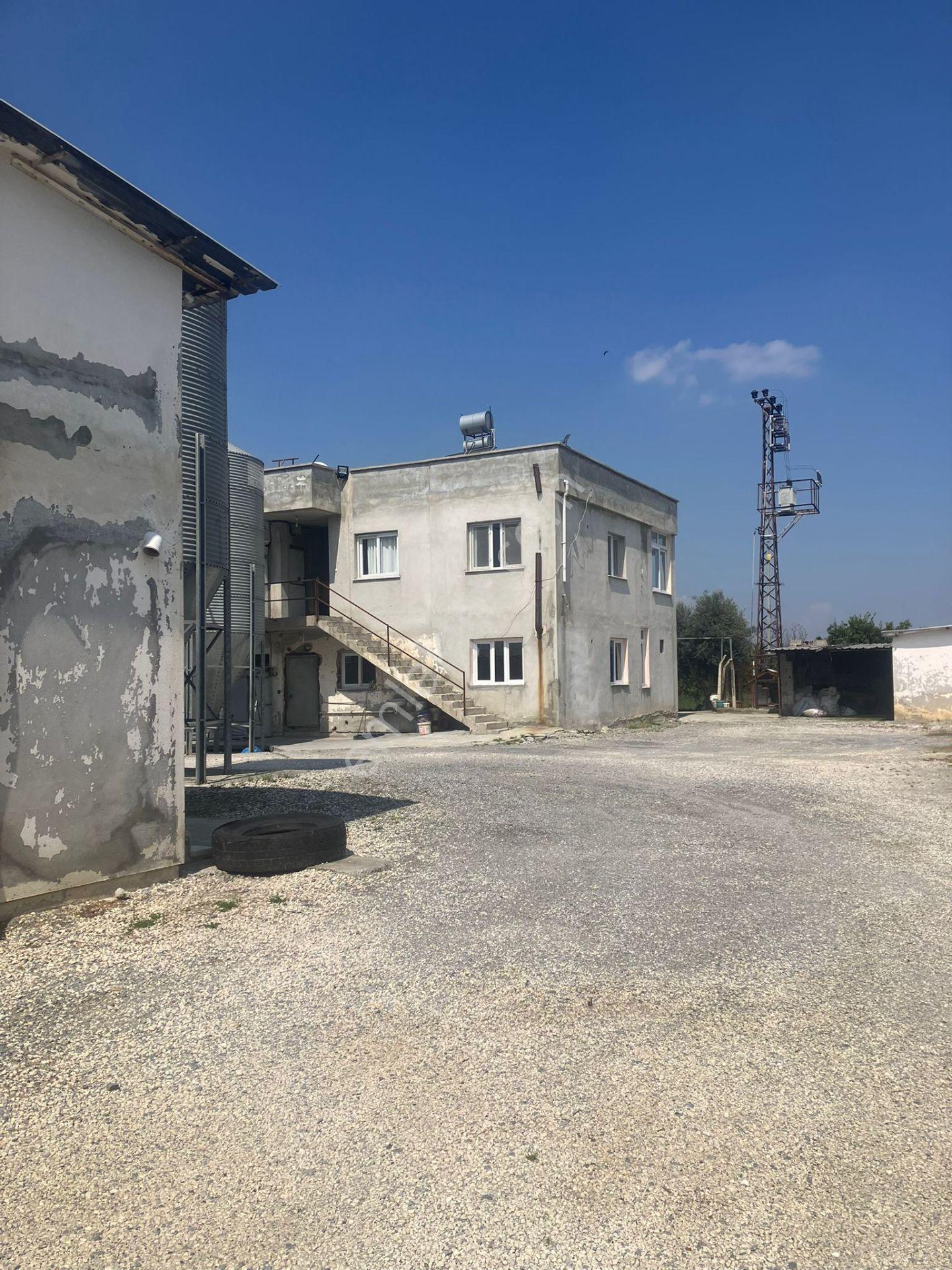 Çerçi Emlak'tan Özbek Köyünde 75 Binlik Tavuk Çiftliği Ve Mandalina Bahçesi - Görsel 27