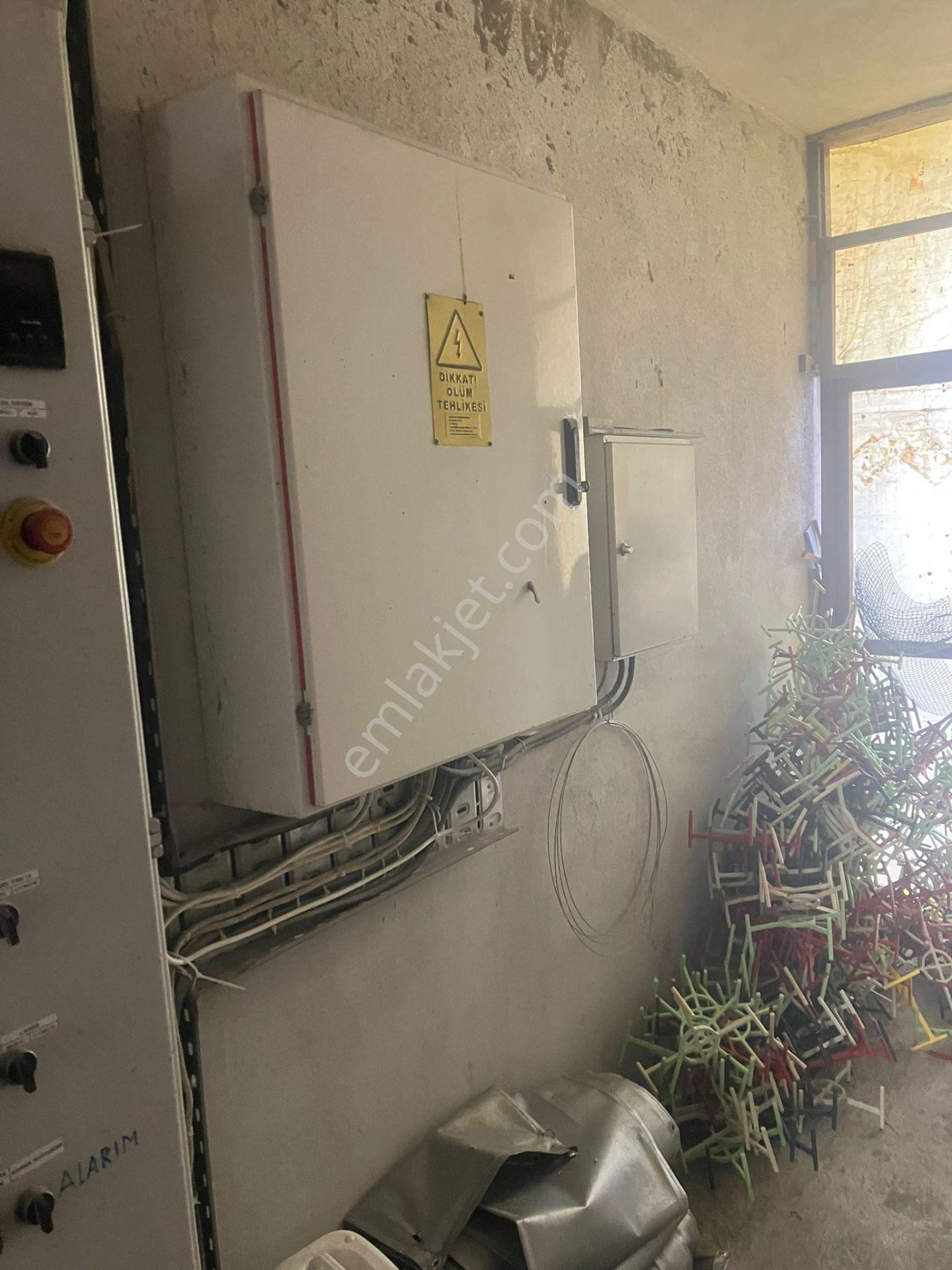 Çerçi Emlak'tan Özbek Köyünde 75 Binlik Tavuk Çiftliği Ve Mandalina Bahçesi - Görsel 16