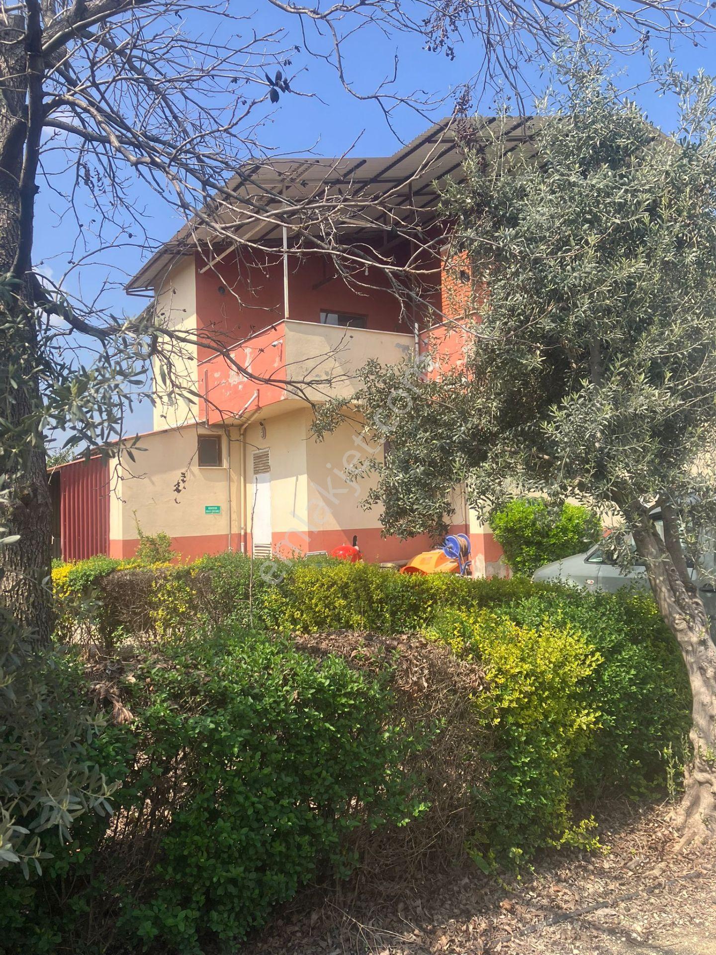 Çerçi Emlak'tan Özbek Köyünde 75 Binlik Tavuk Çiftliği Ve Mandalina Bahçesi - Görsel 29