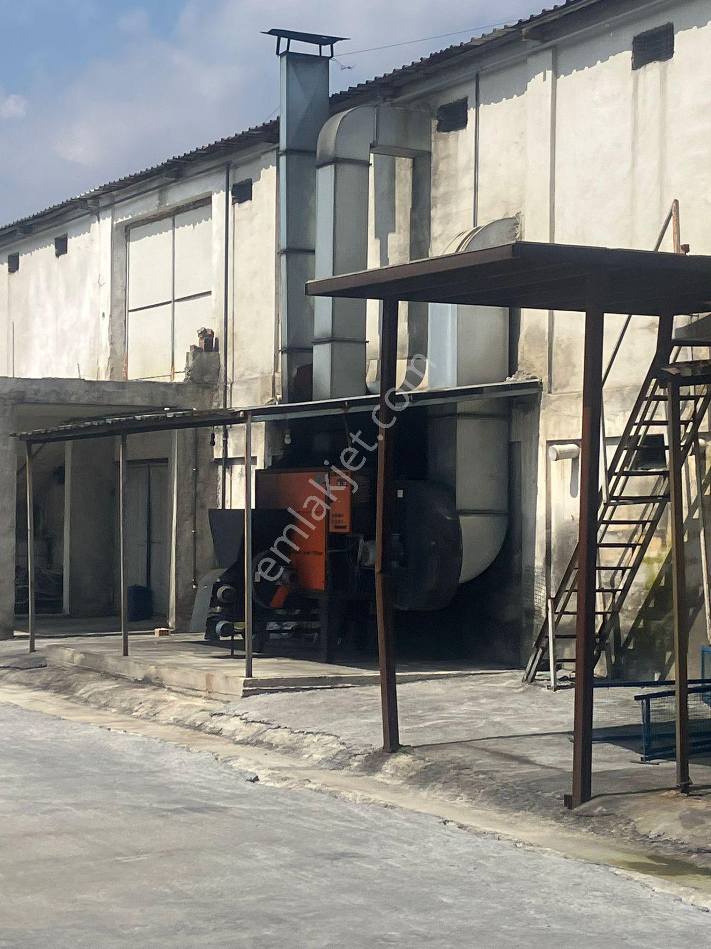Çerçi Emlak'tan Özbek Köyünde 75 Binlik Tavuk Çiftliği Ve Mandalina Bahçesi - Görsel 5