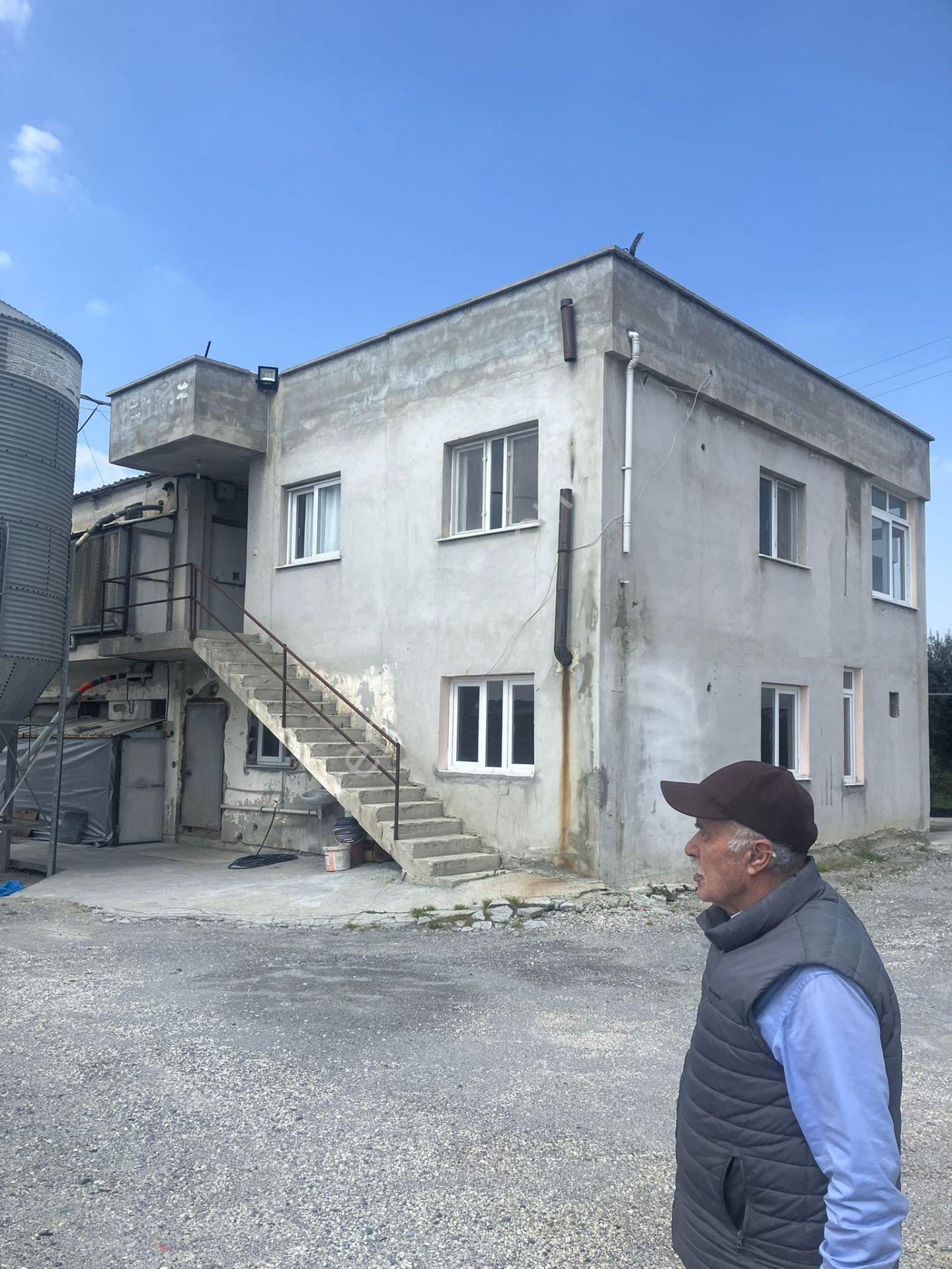 Çerçi Emlak'tan Özbek Köyünde 75 Binlik Tavuk Çiftliği Ve Mandalina Bahçesi - Görsel 3