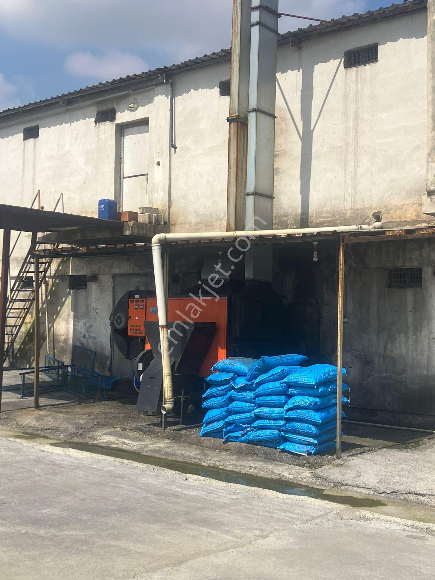 Çerçi Emlak'tan Özbek Köyünde 75 Binlik Tavuk Çiftliği Ve Mandalina Bahçesi - Görsel 12