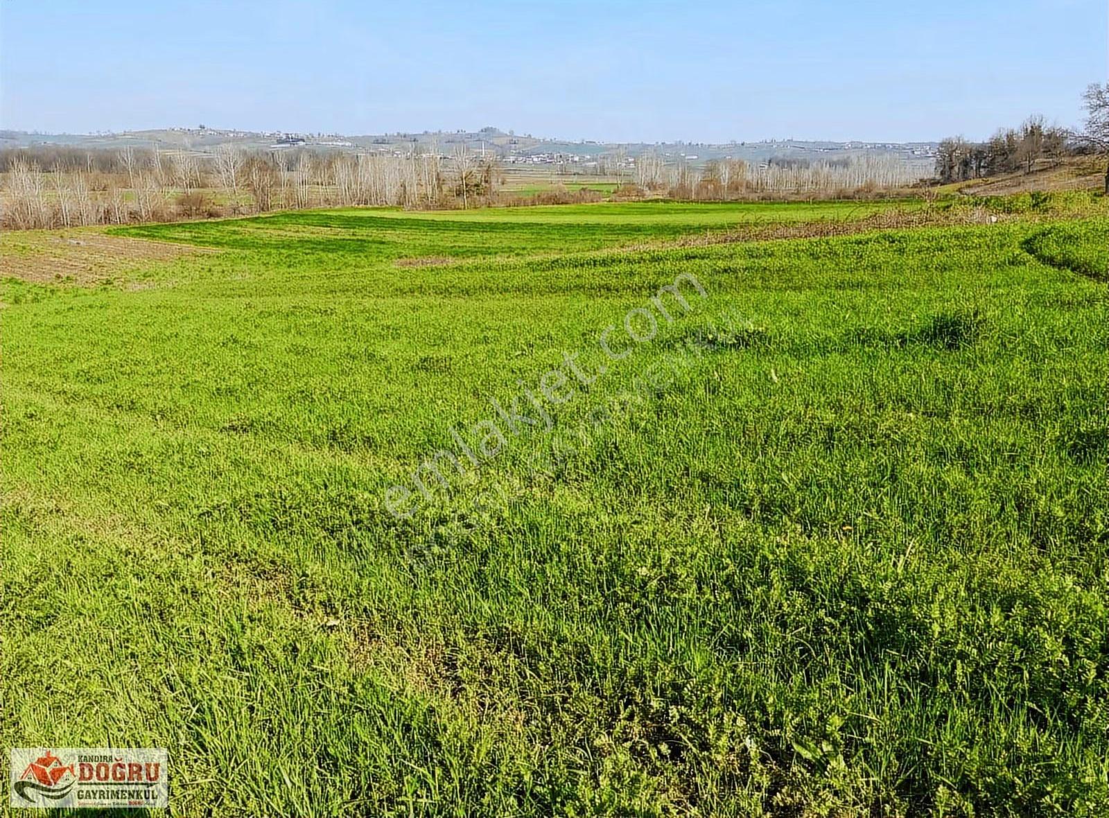 Sarıahmetler De 1758 M2 Kelepir Fiyata Kare Şekle Sahip Tarla - Görsel 7