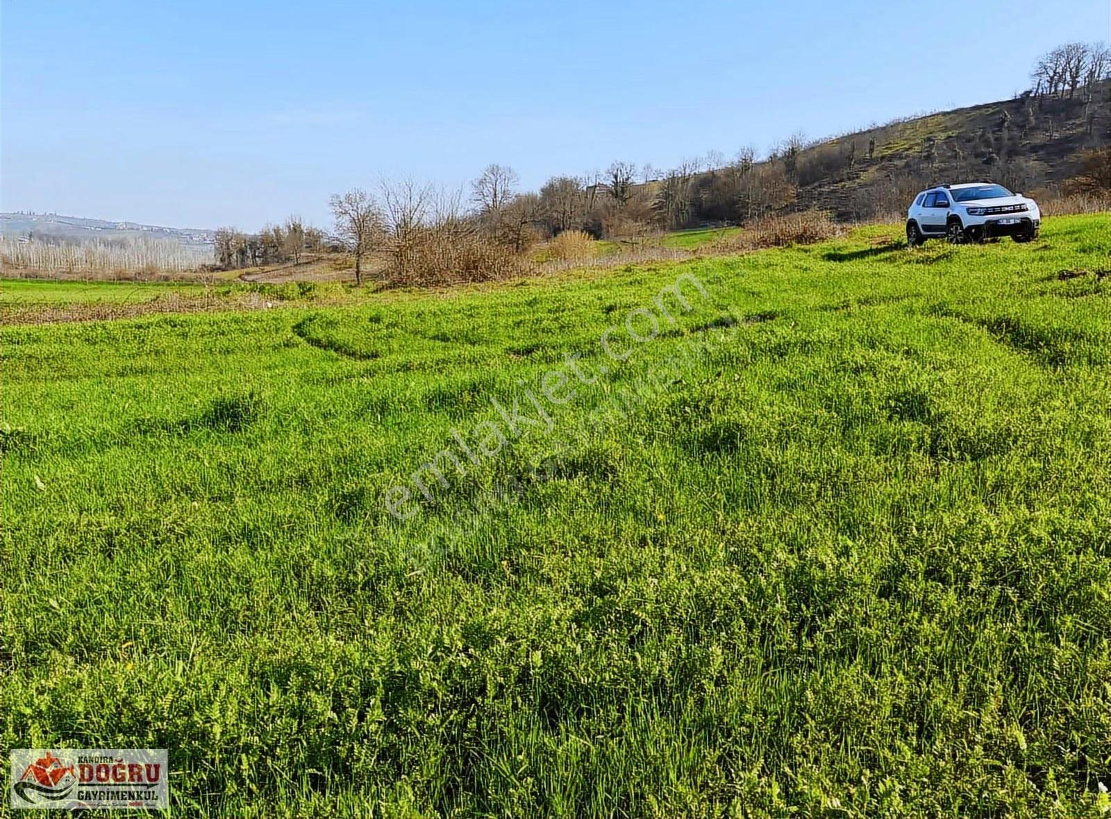 Sarıahmetler De 1758 M2 Kelepir Fiyata Kare Şekle Sahip Tarla - Görsel 11