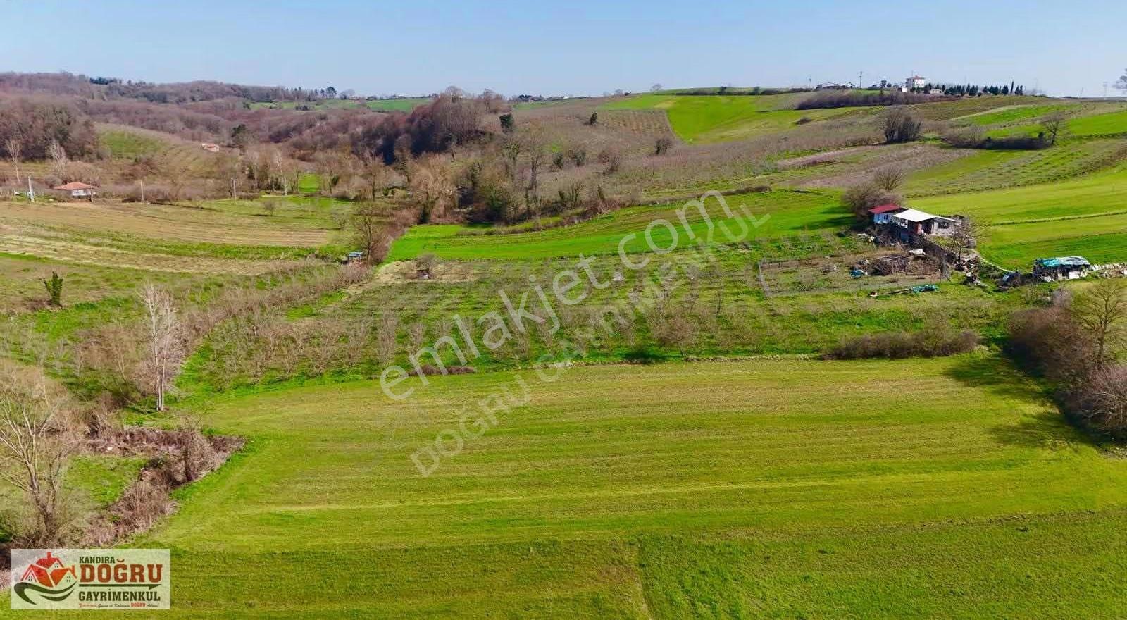 Duraçalı Mah De 371 M2 Tarla Asfalt A Yakın Toplulaştırma Bölges - Görsel 4