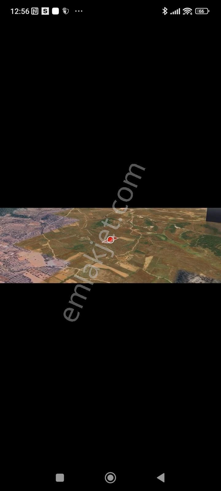 Kazıklı'da Süper Zeytinlik - Görsel 2