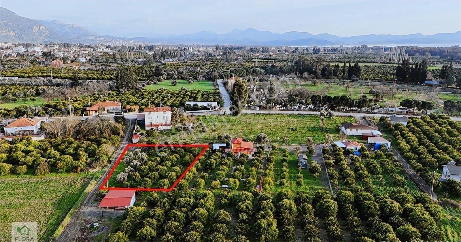 Muğla Köyceğiz Toparlar Mh.de 450'er M2 Arsalar - Görsel 7