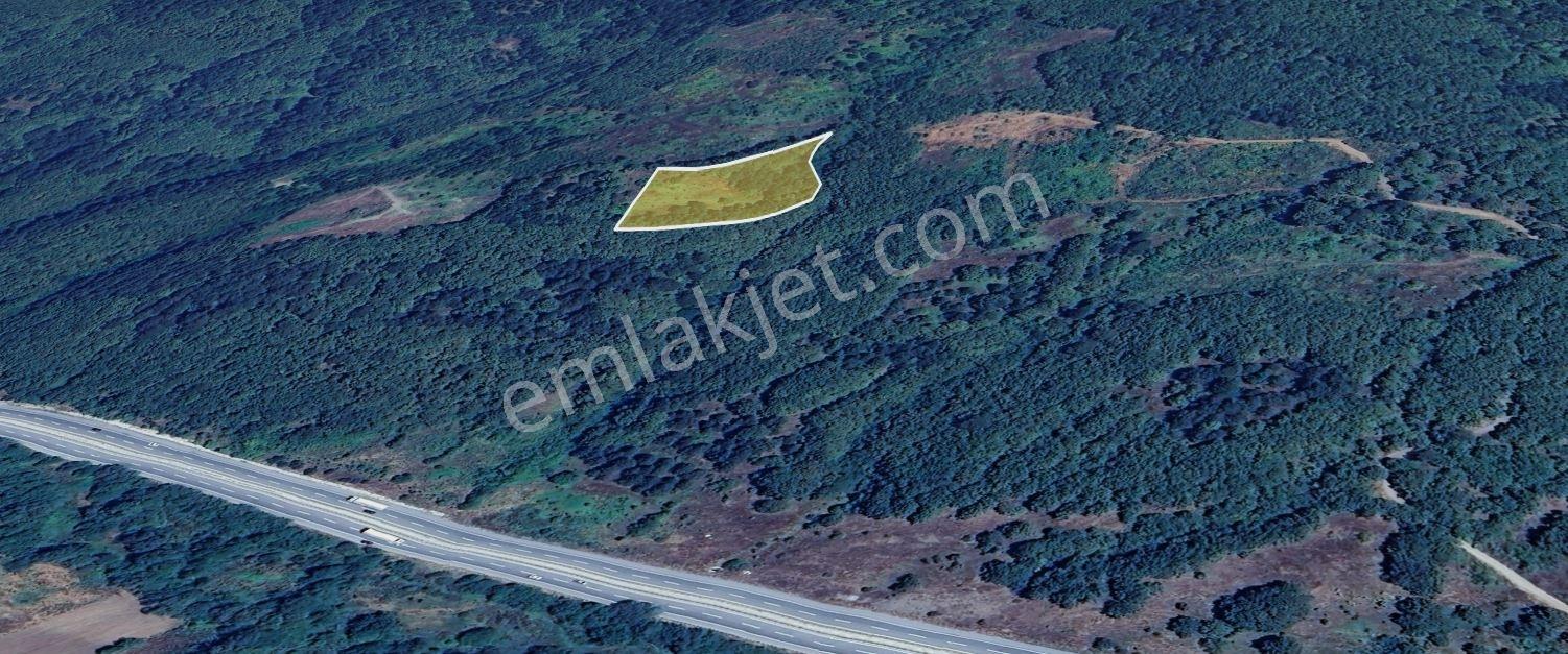 Çözüm Emlak | Bozüyük | Aksutekke Köyünde 3 Tarla 14 Dönüm - Görsel 5