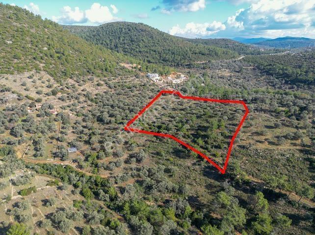Bodrum Kızıağaç'ta Satılık Yatırımlık Arsa - Görsel 6