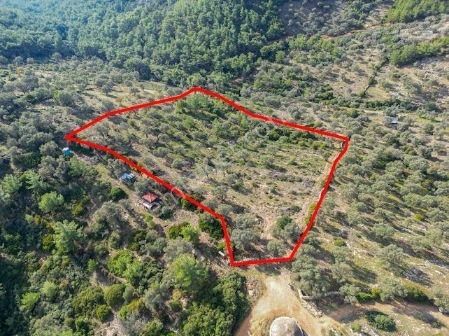 Bodrum Kızıağaç'ta Satılık Yatırımlık Arsa - Görsel 3