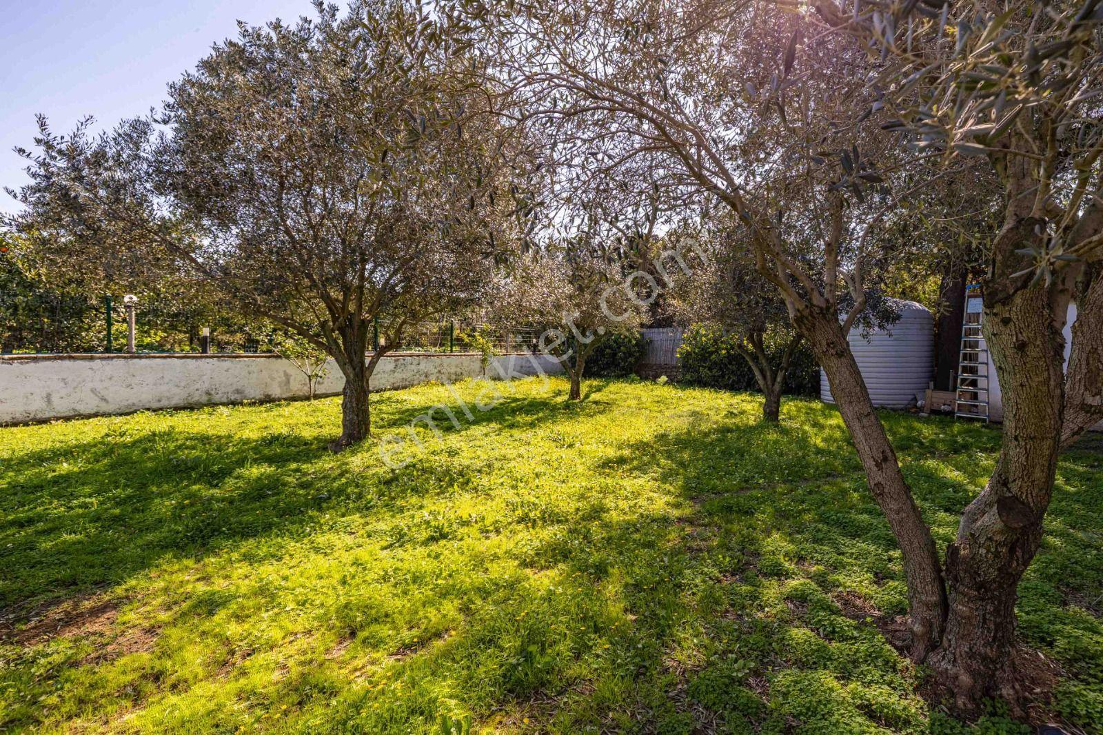 Gümüşlük’te 2 Dönüm Arsa İçinde Müstakil Villa. - Görsel 32