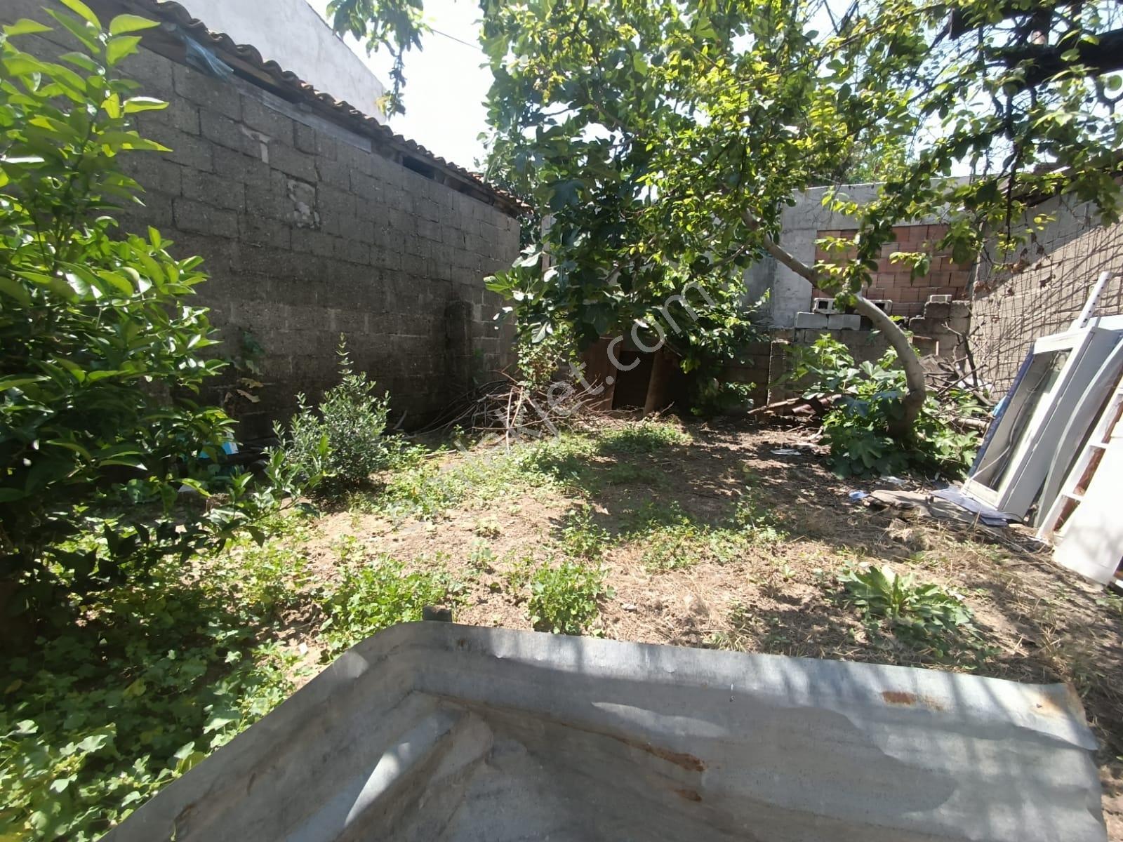 Muhtarımdan 2 Katlı Girisleri Birbirinden Bagımsız 2 Adet Daire - Görsel 9