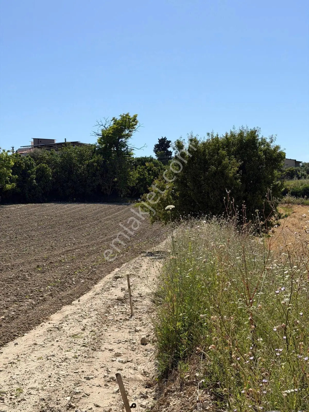 Kuşadası Soğucakta Deniz Manzaralı 14 Villalık Arsa - Görsel 5