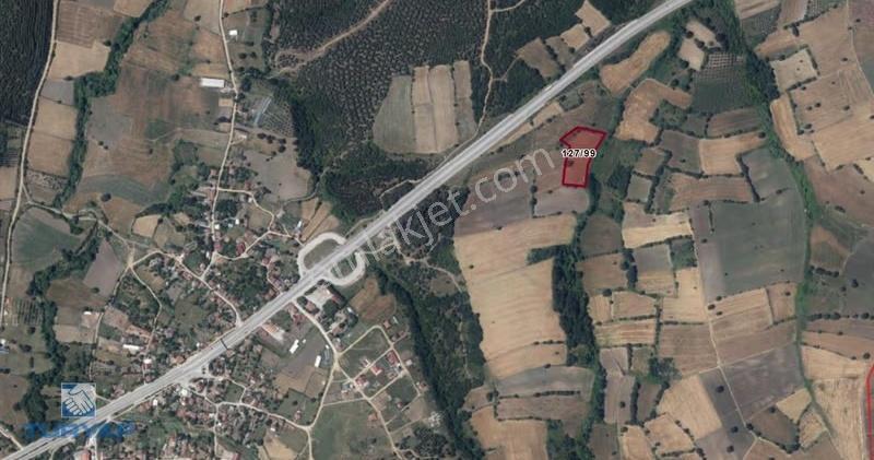 Biga Sinekçide Yola Yakın 7.732 M² Satılık Tarla - Görsel 2
