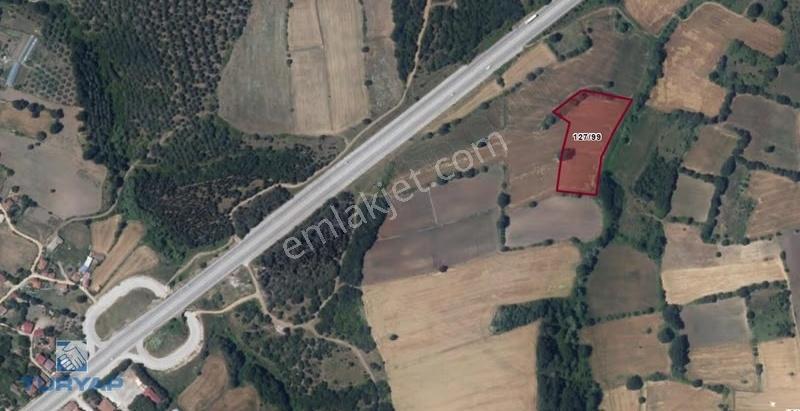 Biga Sinekçide Yola Yakın 7.732 M² Satılık Tarla - Görsel 3