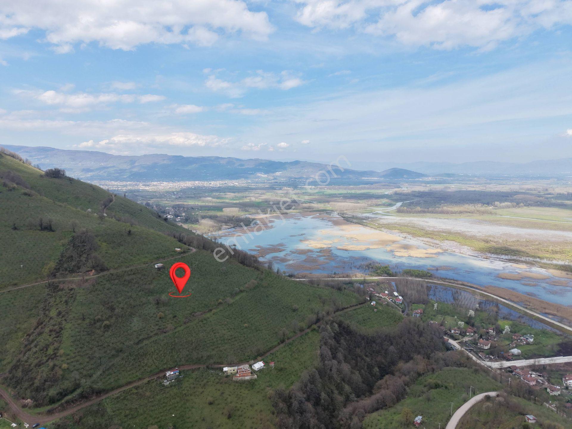 Hamamüstü Efteni Gölü'ne Manzaralı 5463 M2 Satılık Arazi - Görsel 32