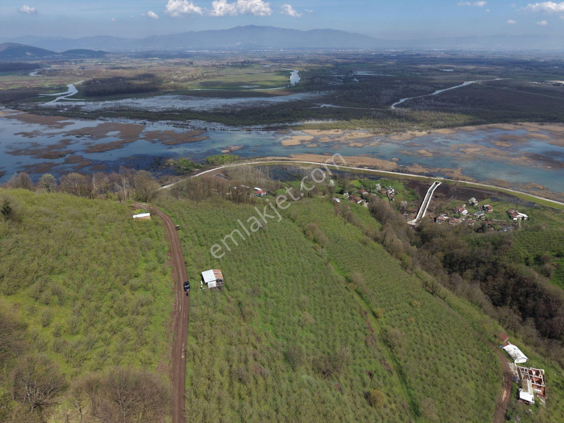 Hamamüstü Efteni Gölü'ne Manzaralı 5463 M2 Satılık Arazi - Görsel 20