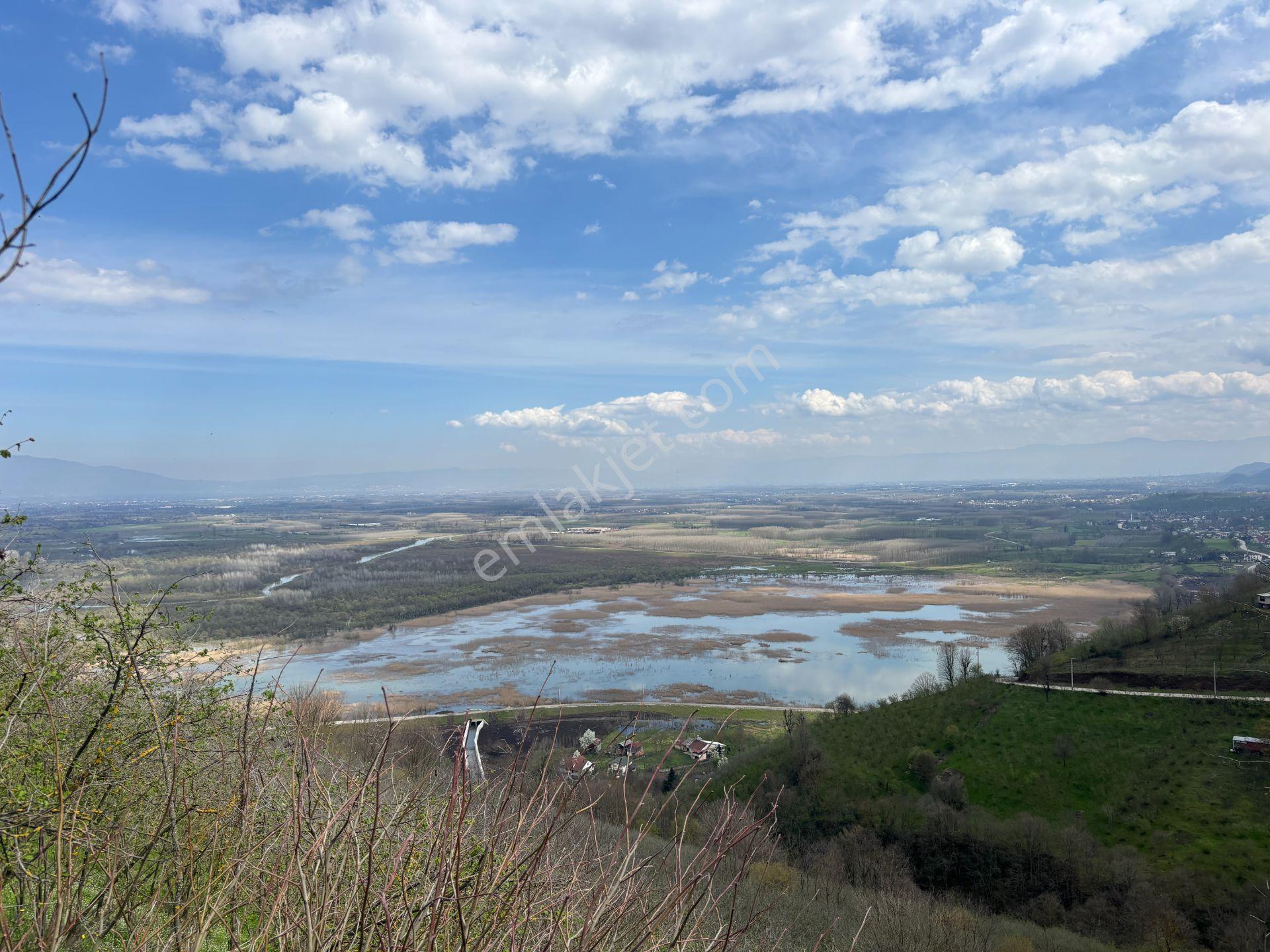 Hamamüstü Efteni Gölü'ne Manzaralı 5463 M2 Satılık Arazi - Görsel 31