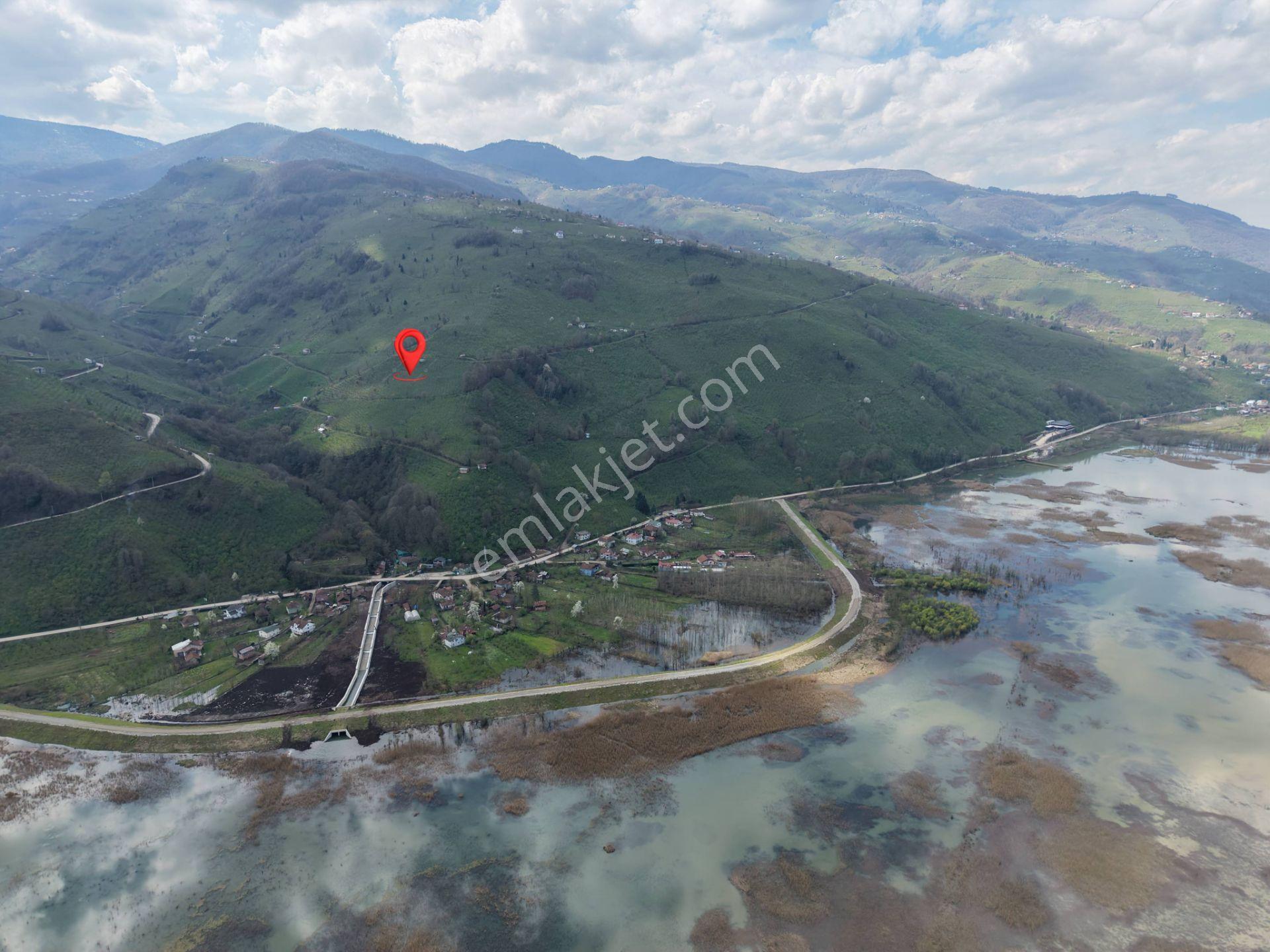Hamamüstü Efteni Gölü'ne Manzaralı 5463 M2 Satılık Arazi - Görsel 24
