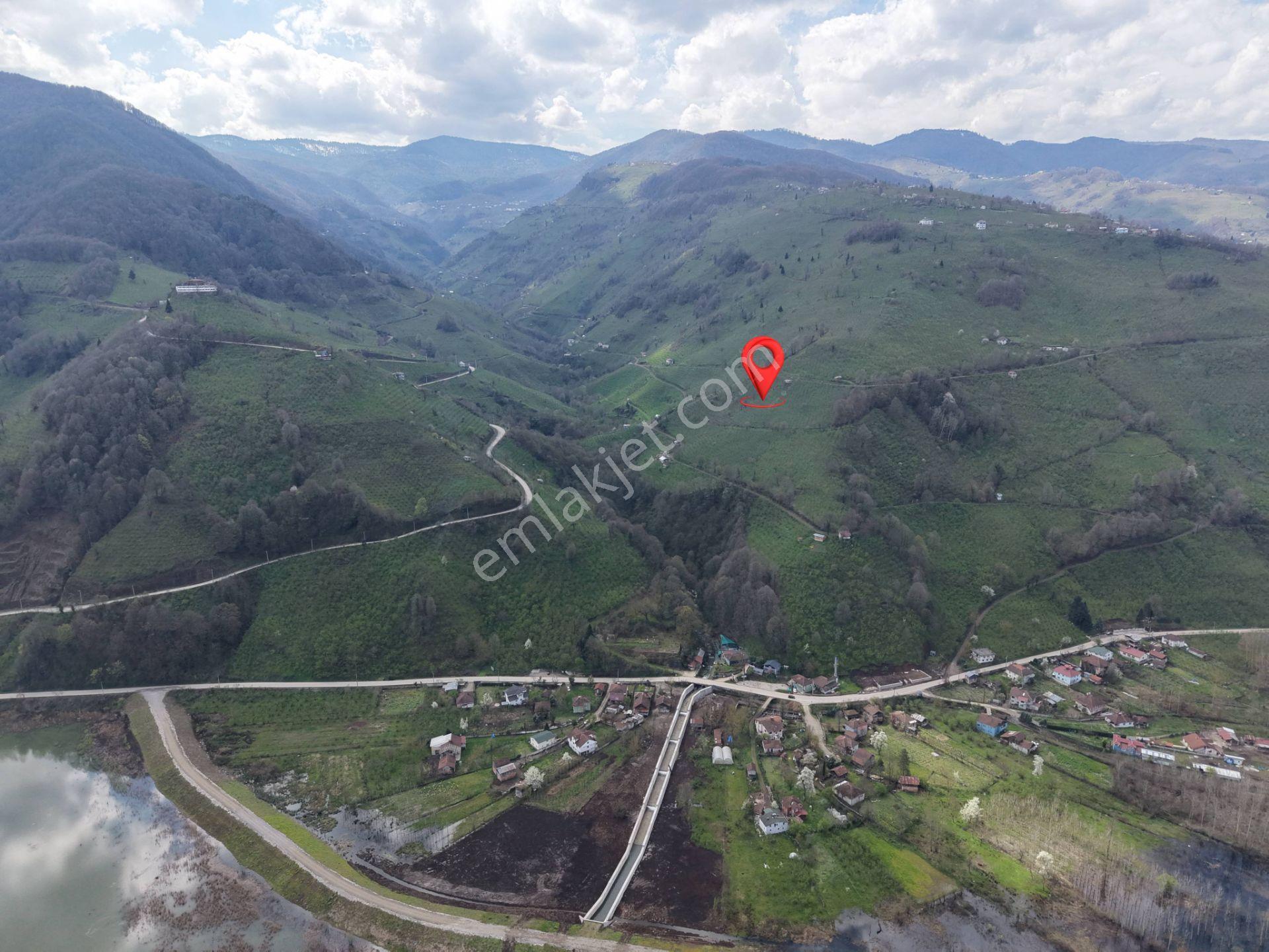 Hamamüstü Efteni Gölü'ne Manzaralı 5463 M2 Satılık Arazi - Görsel 10