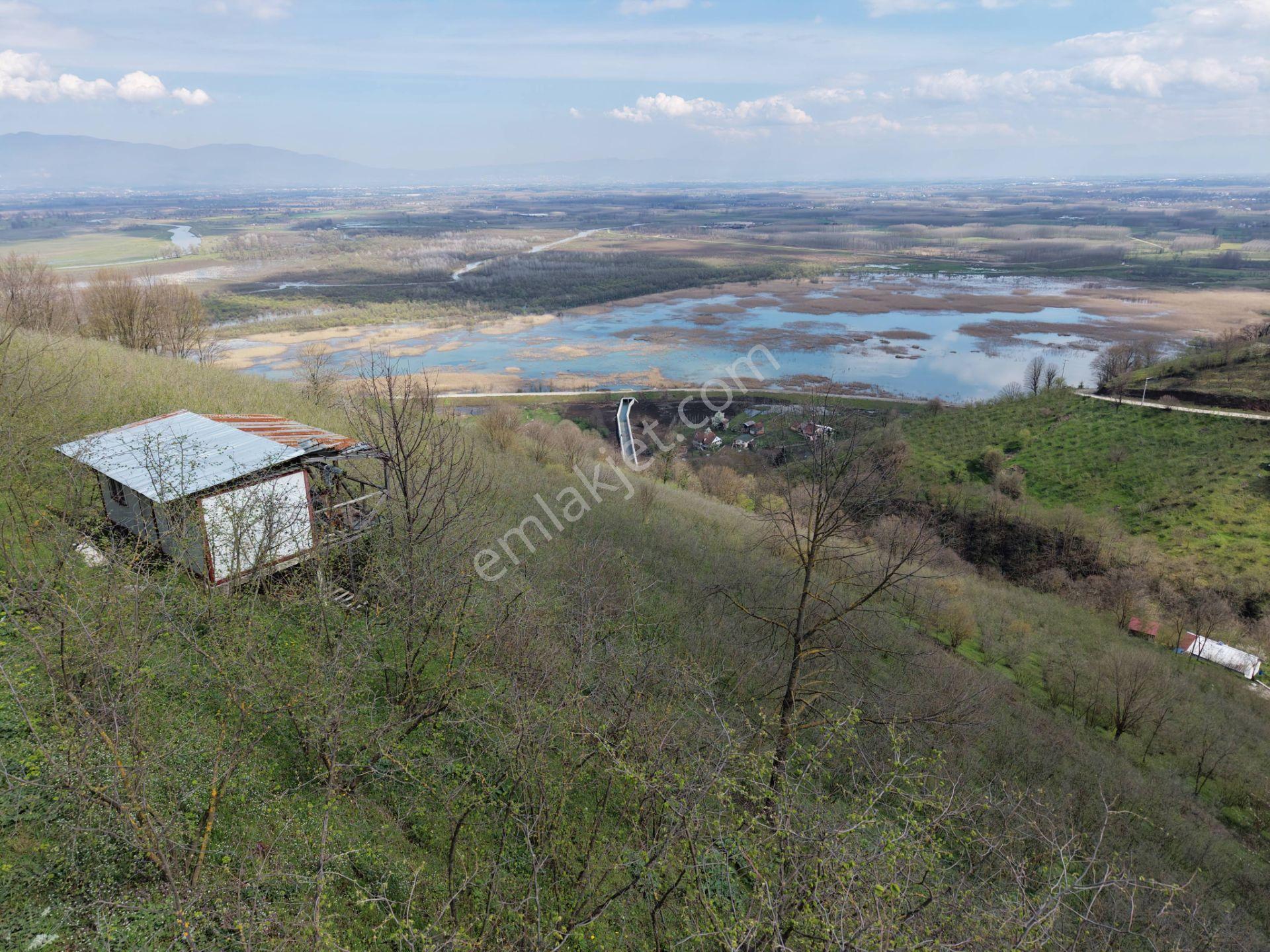 Hamamüstü Efteni Gölü'ne Manzaralı 5463 M2 Satılık Arazi - Görsel 3
