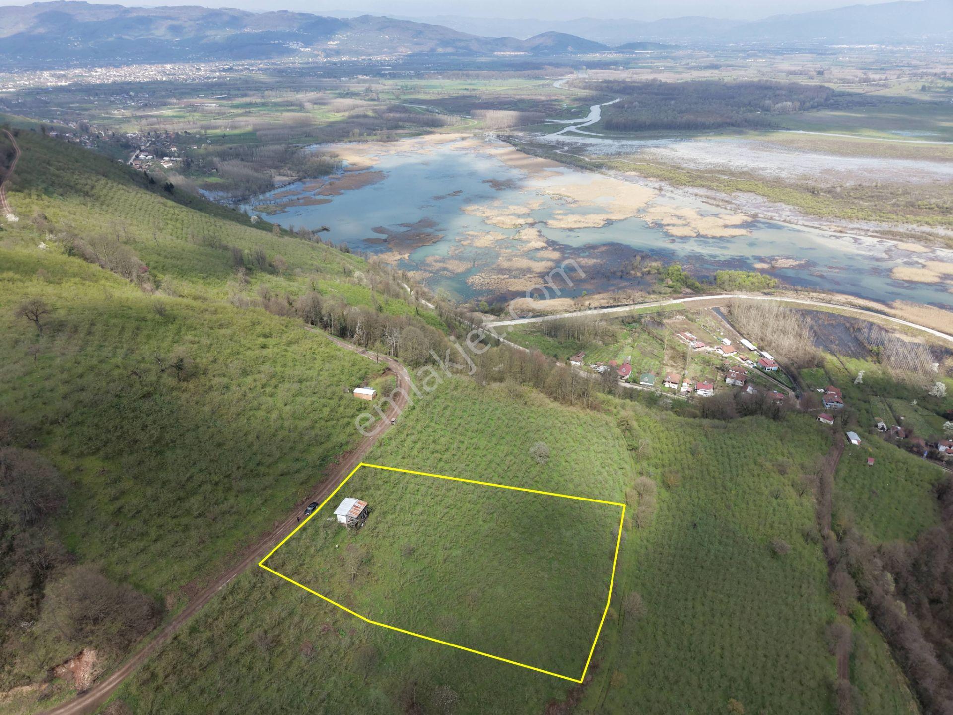 Hamamüstü Efteni Gölü'ne Manzaralı 5463 M2 Satılık Arazi - Görsel 7