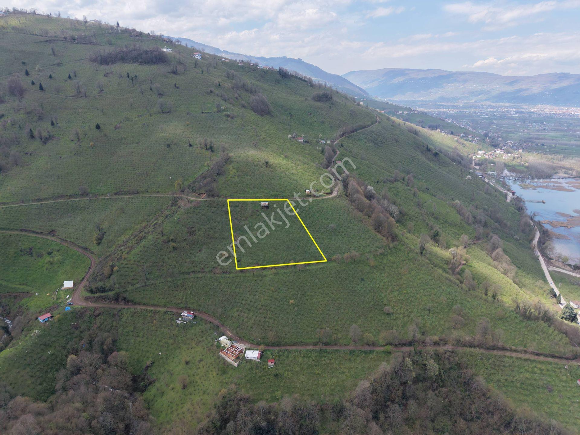 Hamamüstü Efteni Gölü'ne Manzaralı 5463 M2 Satılık Arazi - Görsel 34