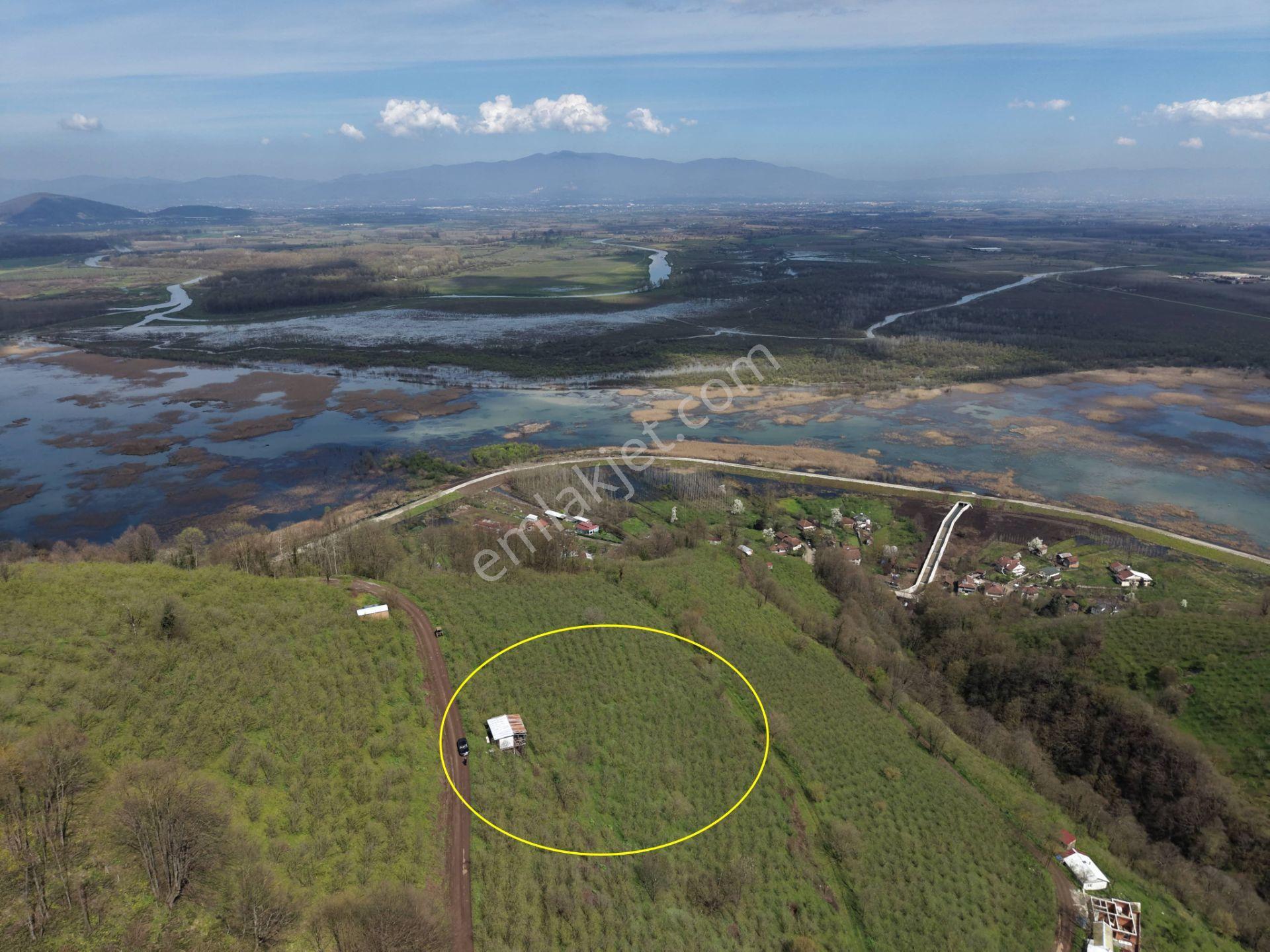Hamamüstü Efteni Gölü'ne Manzaralı 5463 M2 Satılık Arazi - Görsel 6