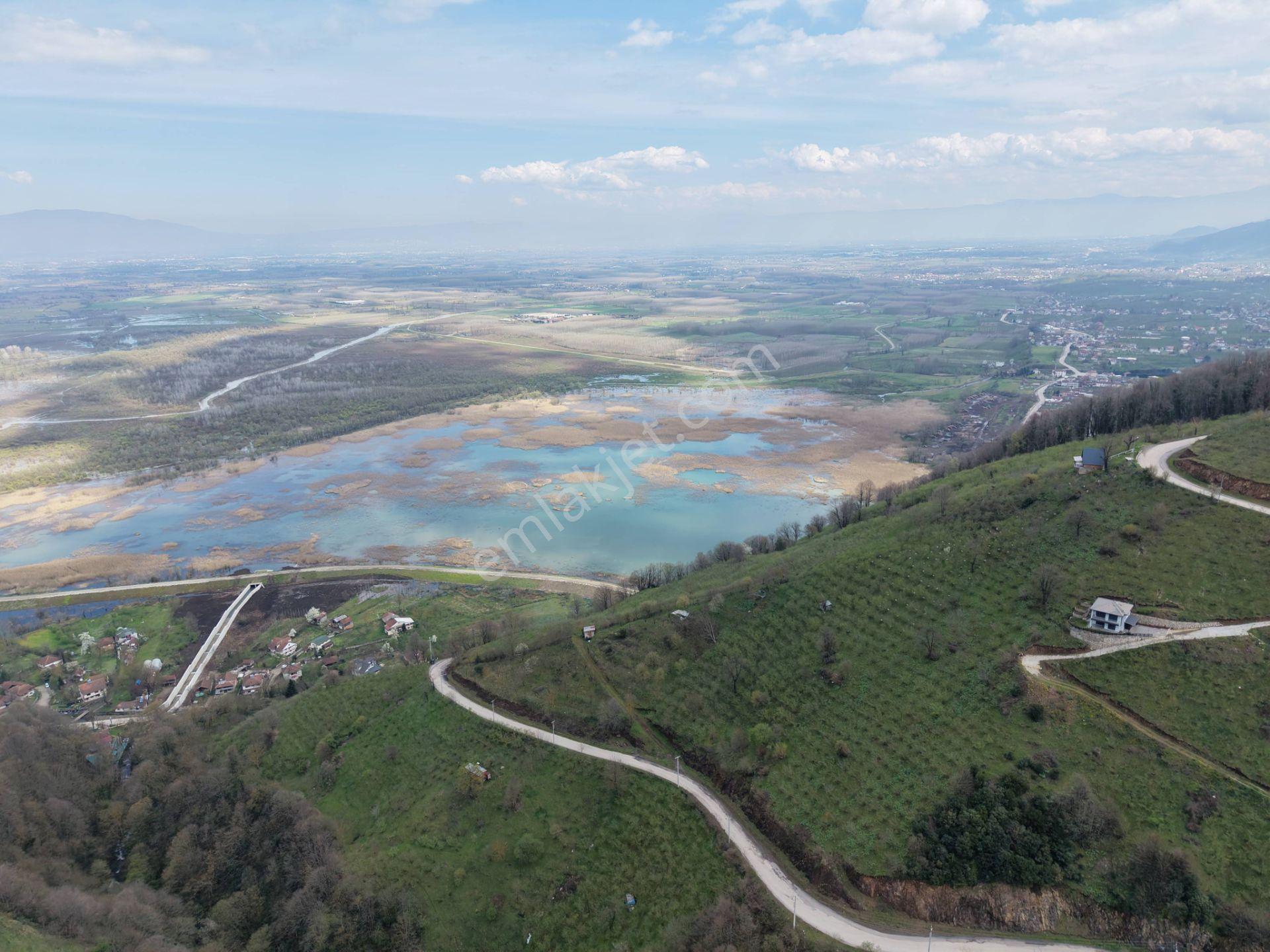 Hamamüstü Efteni Gölü'ne Manzaralı 5463 M2 Satılık Arazi - Görsel 8
